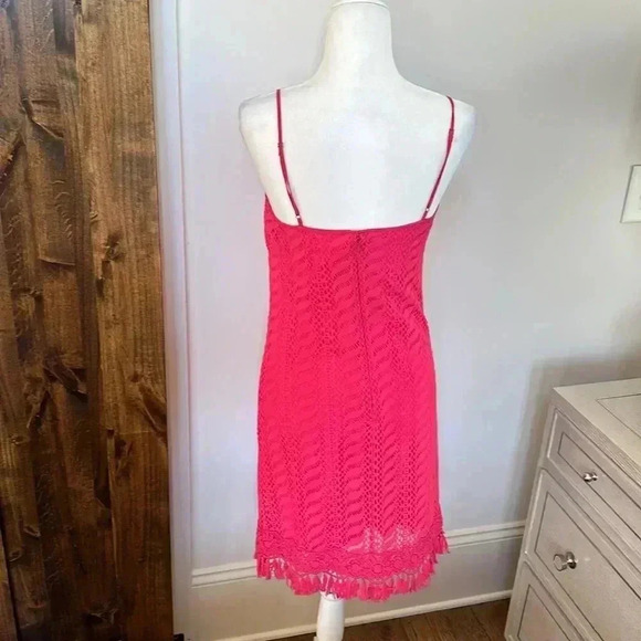 Lilly Pulitzer Pink Lace Dress - Picture 7 of 9
